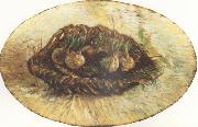 Vincent Van Gogh Basket of Sprouting Bulbs (nn04) oil painting artist